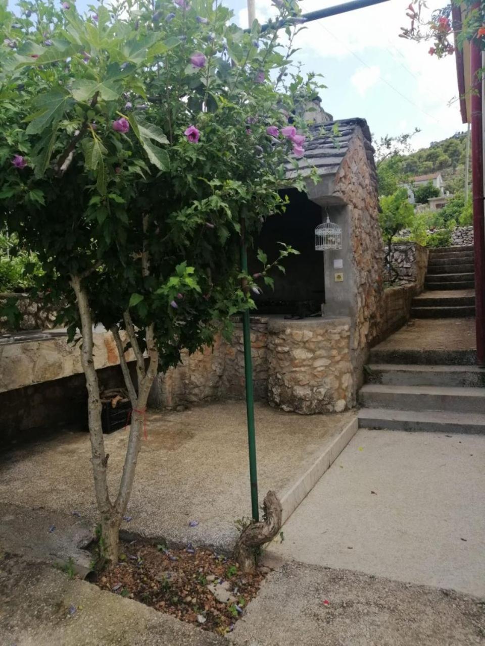 Apartment Anka Marina Luaran gambar